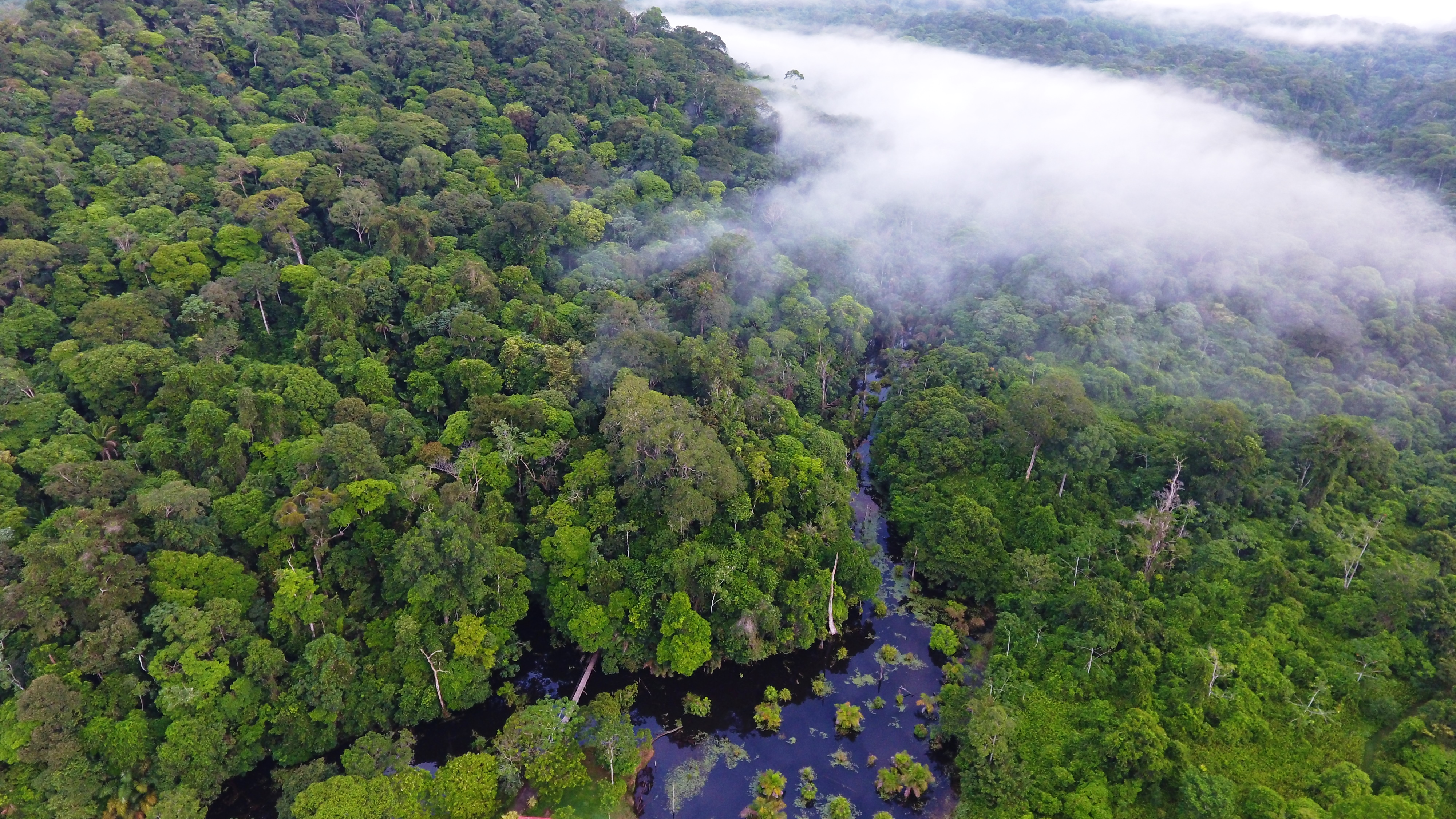 Boca Tapada au Costa Rica
